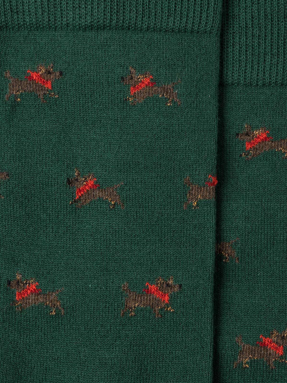 Royalties - Albert - Sous-bois