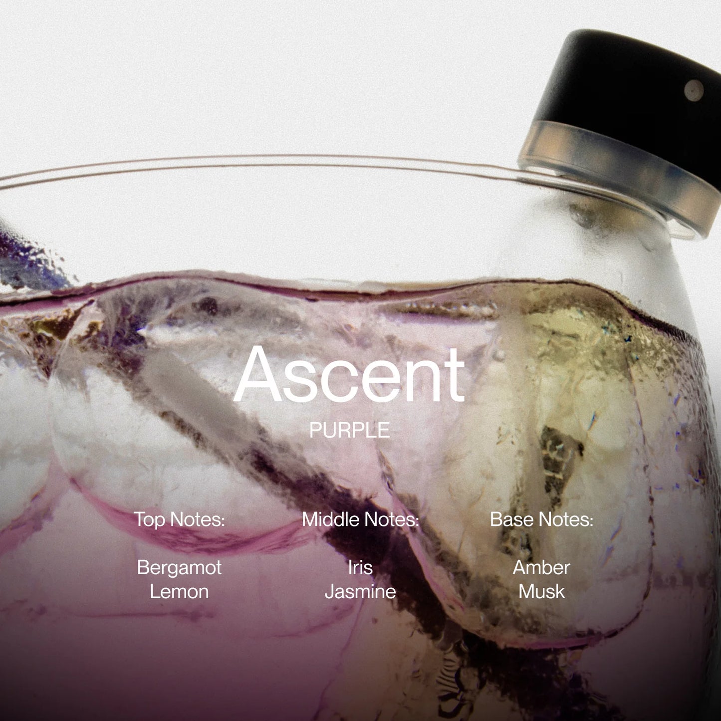 Ascent - Case & Parfum Refill | Purple