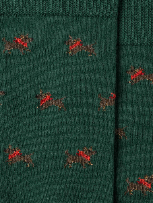 Royalties - Albert - Sous-bois